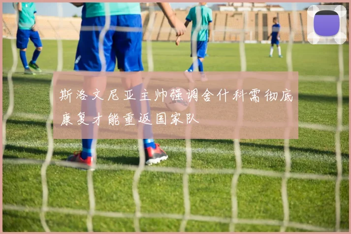 斯洛文尼亚主帅强调舍什科需彻底康复才能重返国家队